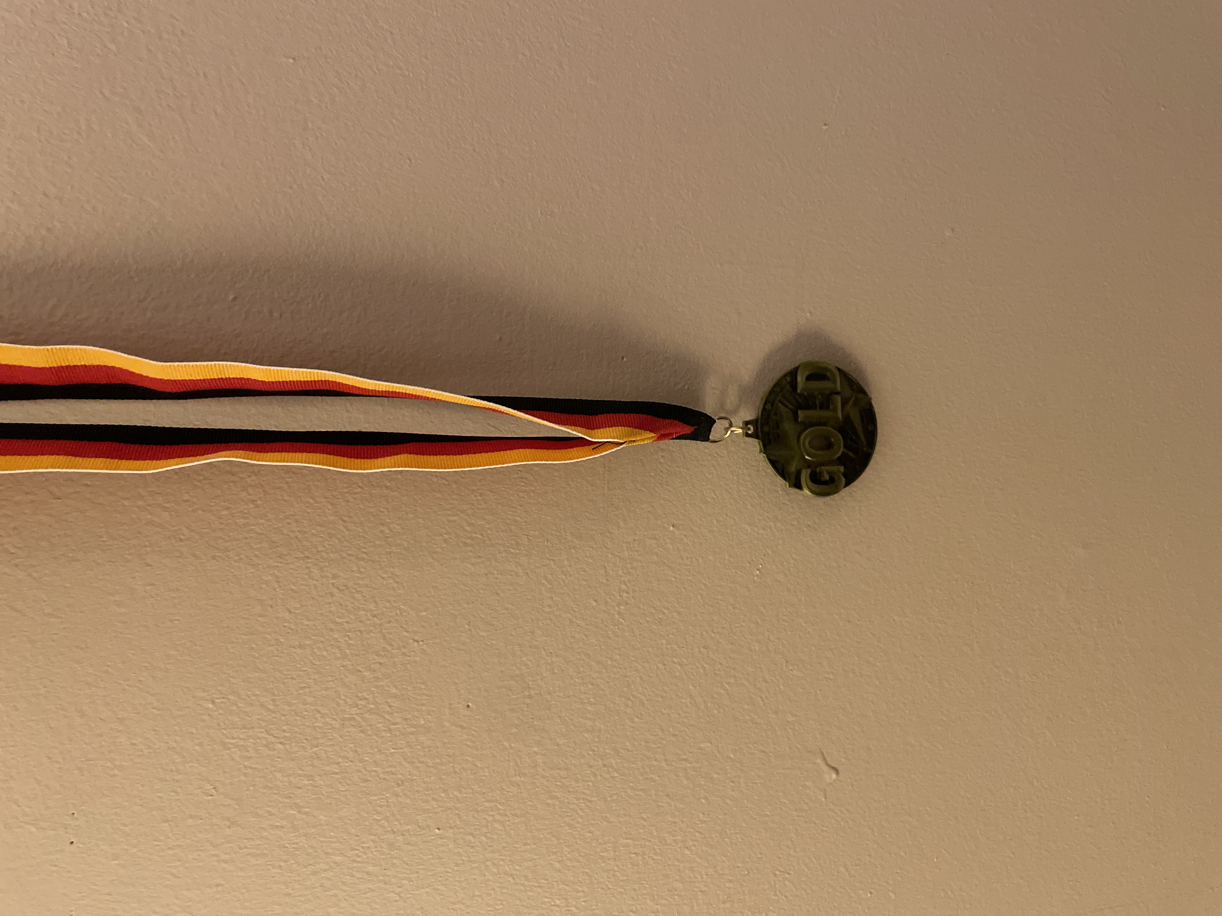 Picture of a gold medal for the National German Exam